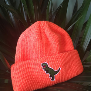 DINOSAUR BEANIE