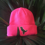 DINOSAUR BEANIE