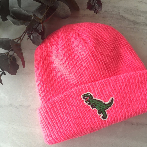 DINOSAUR BEANIE